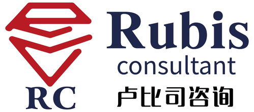 上海盧比司企業(yè)管理咨詢 專業(yè)賦能企業(yè)成長(zhǎng)，解鎖管理新高度