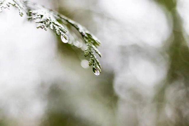 空氣濕度大帶來的危害有哪些，你知道嗎？