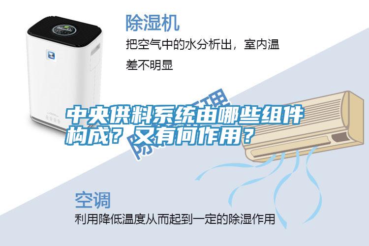 中央供料系統(tǒng)由哪些組件構(gòu)成？又有何作用？
