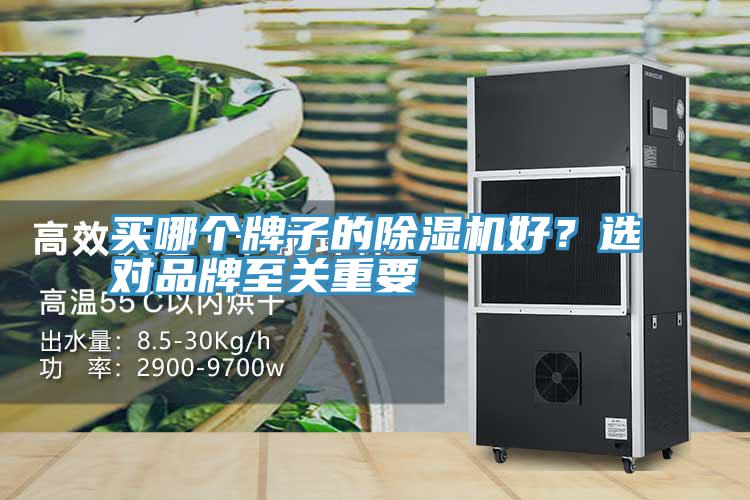 買哪個(gè)牌子的除濕機(jī)好？選對品牌至關(guān)重要