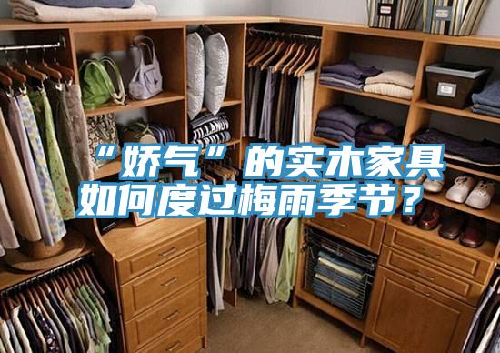 “嬌氣”的實木家具如何度過梅雨季節(jié)？