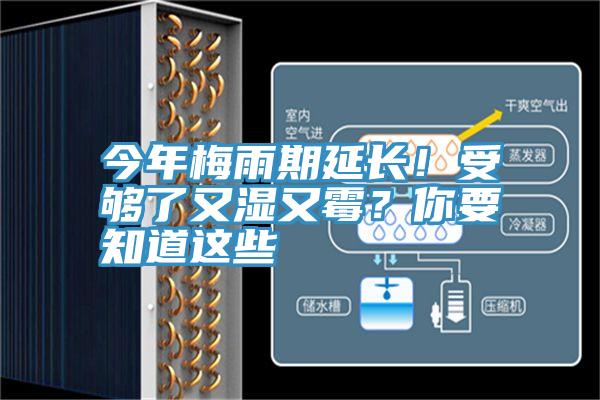 今年梅雨期延長！受夠了又濕又霉？你要知道這些
