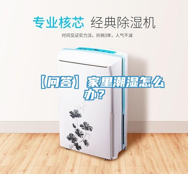 【問答】家里潮濕怎么辦？