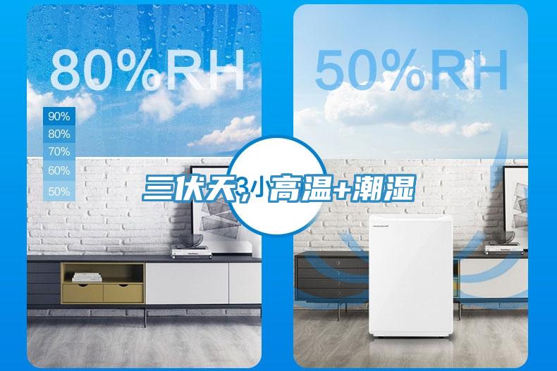三伏天，高溫+潮濕
