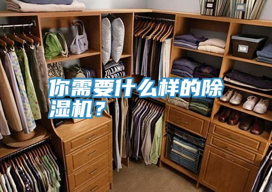 你需要什么樣的除濕機？