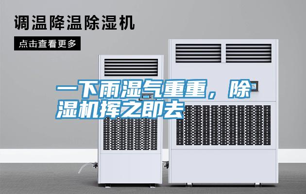 一下雨濕氣重重，除濕機(jī)揮之即去