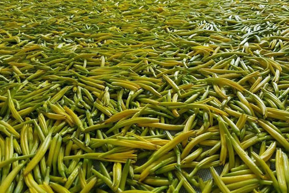 無(wú)硫金針菜烘干如何保持品相？不發(fā)黑？_除濕機(jī)廠家