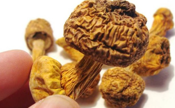 巴西菇、姬松茸烘干機(jī)-怎樣烘干色澤好且菇體褶片完整？