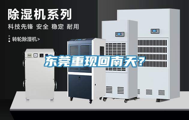 東莞重現(xiàn)回南天？