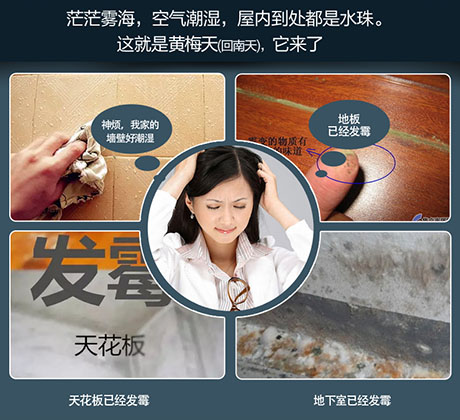 家庭別墅的地下室、衛(wèi)生間、儲(chǔ)物室等該如何除濕？