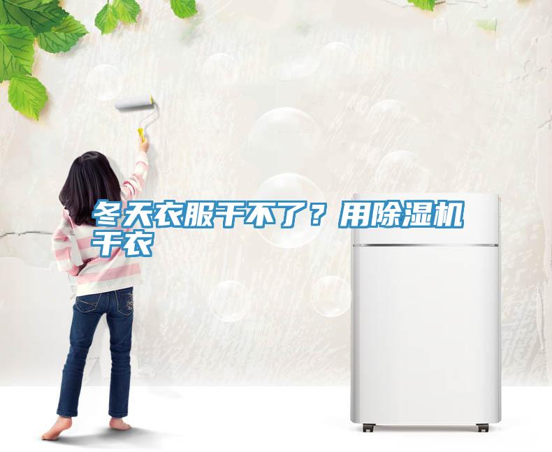 冬天衣服干不了？用除濕機干衣