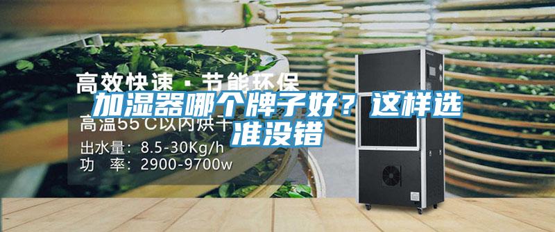 加濕器哪個牌子好？這樣選準(zhǔn)沒錯