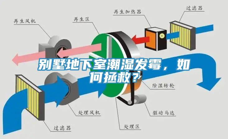 別墅地下室潮濕發(fā)霉，如何拯救？