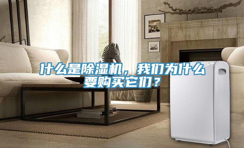 什么是除濕機(jī)，我們?yōu)槭裁匆徺I它們？