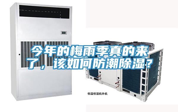 今年的梅雨季真的來(lái)了，該如何防潮除濕？