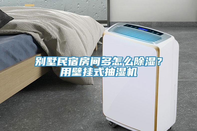 別墅民宿房間多怎么除濕？用壁掛式抽濕機(jī)