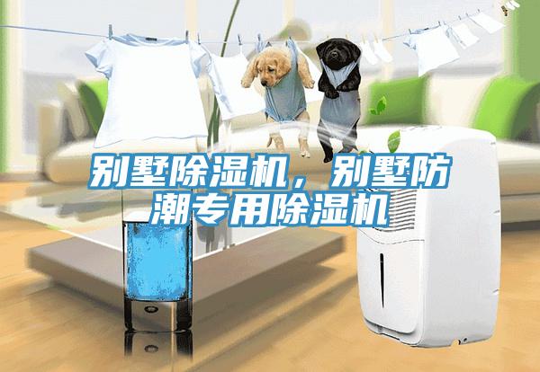 別墅除濕機，別墅防潮專用除濕機
