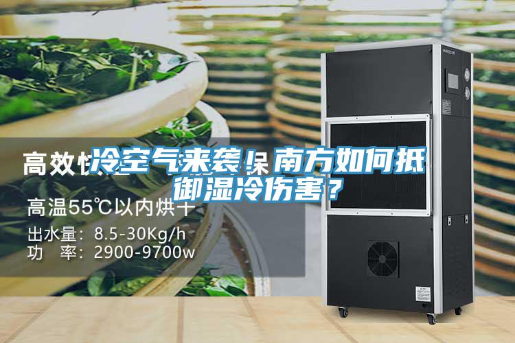 冷空氣來(lái)襲！南方如何抵御濕冷傷害？
