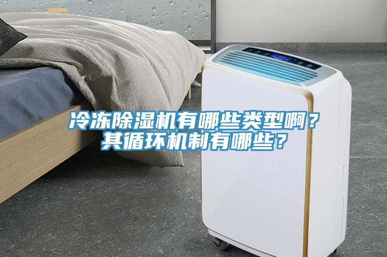 冷凍除濕機(jī)有哪些類(lèi)型??？其循環(huán)機(jī)制有哪些？