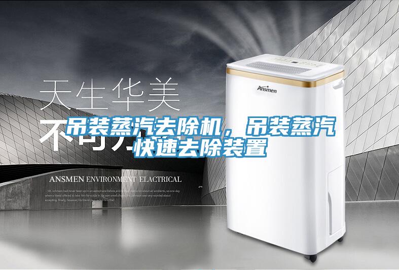 吊裝蒸汽去除機(jī)，吊裝蒸汽快速去除裝置