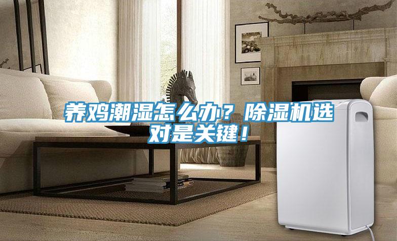 養(yǎng)雞潮濕怎么辦？除濕機選對是關(guān)鍵！