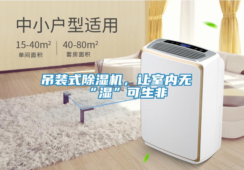 吊裝式除濕機(jī)，讓室內(nèi)無“濕”可生非
