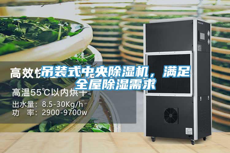 吊裝式中央除濕機(jī)，滿足全屋除濕需求