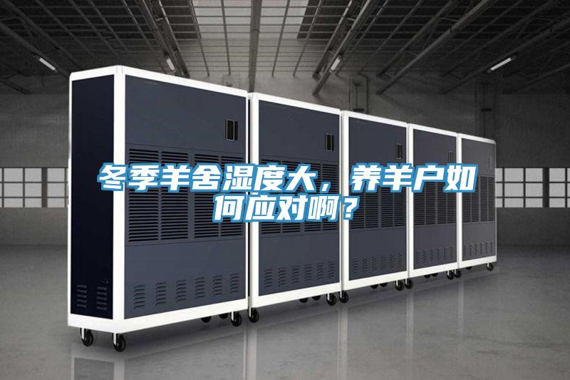 冬季羊舍濕度大，養(yǎng)羊戶如何應(yīng)對??？