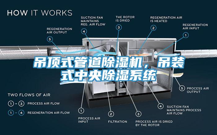 吊頂式管道除濕機(jī)，吊裝式中央除濕系統(tǒng)