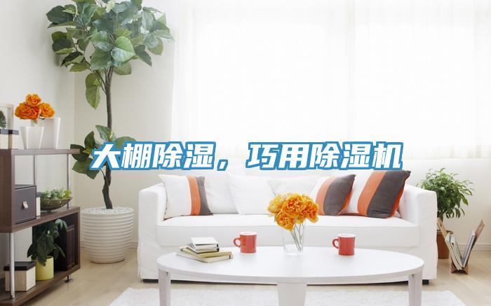 大棚除濕，巧用除濕機