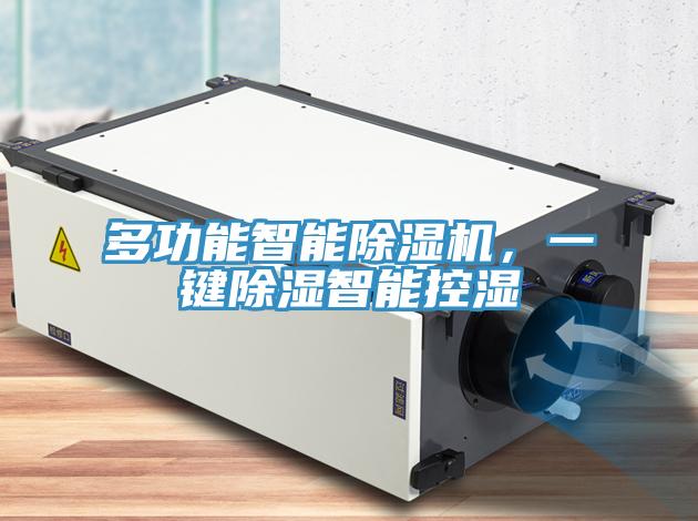 多功能智能除濕機(jī)，一鍵除濕智能控濕