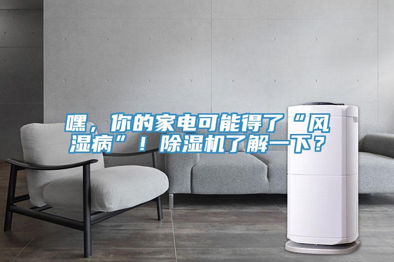 嘿，你的家電可能得了“風(fēng)濕病”！除濕機(jī)了解一下？