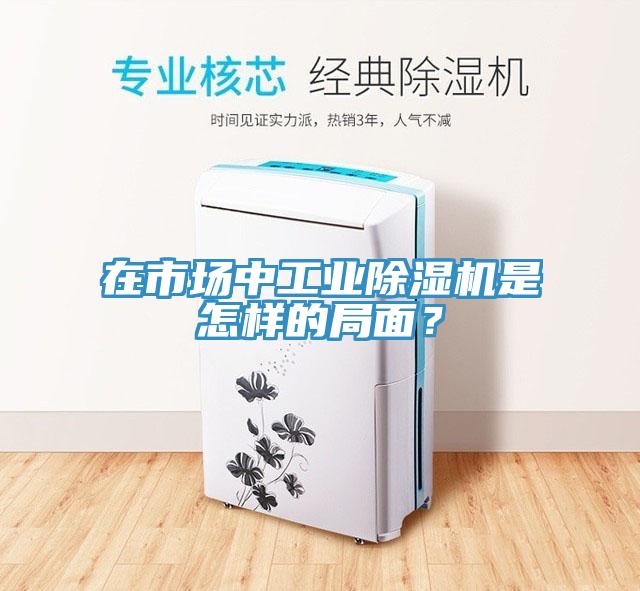 在市場中工業(yè)除濕機(jī)是怎樣的局面？