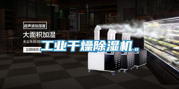 工業(yè)干燥除濕機(jī)。