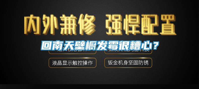 回南天壁櫥發(fā)霉很糟心？