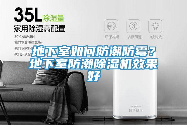 地下室如何防潮防霉？地下室防潮除濕機(jī)效果好