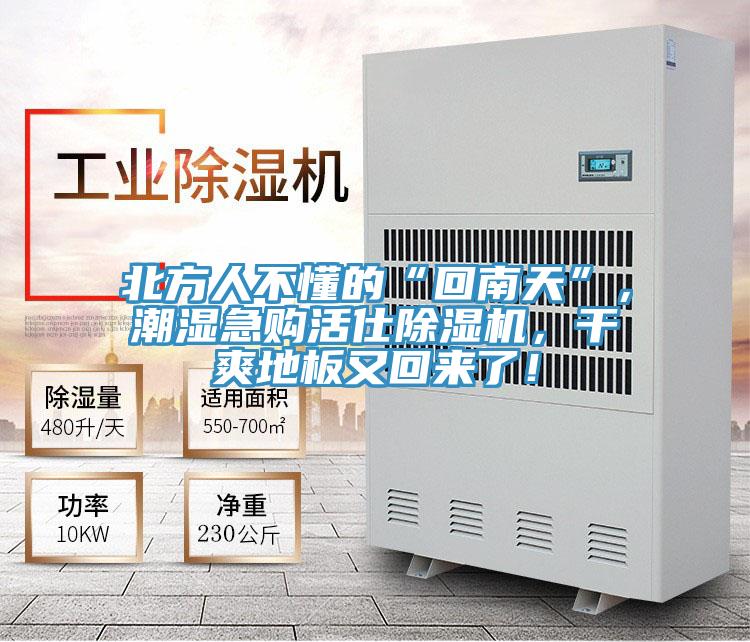 北方人不懂的“回南天”，潮濕急購活仕除濕機(jī)，干爽地板又回來了！