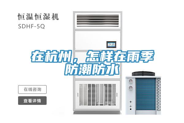 在杭州，怎樣在雨季防潮防水