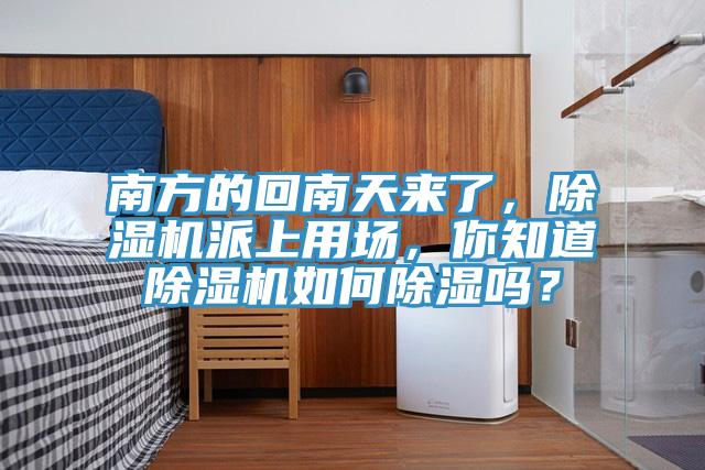 南方的回南天來(lái)了，除濕機(jī)派上用場(chǎng)，你知道除濕機(jī)如何除濕嗎？