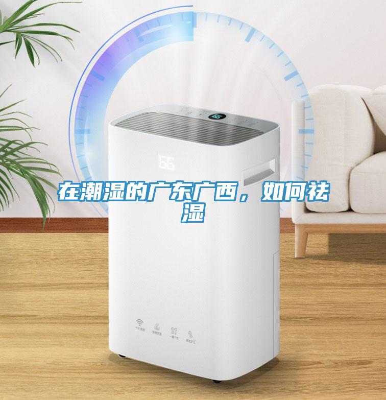 在潮濕的廣東廣西，如何祛濕