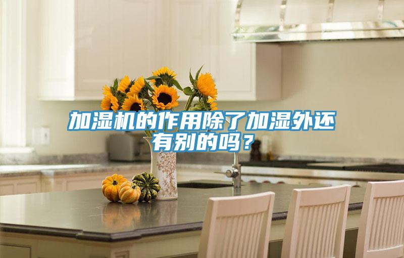 加濕機(jī)的作用除了加濕外還有別的嗎？
