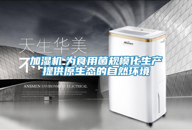 加濕機　為食用菌規(guī)?；a(chǎn)提供原生態(tài)的自然環(huán)境