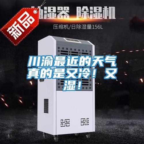 川渝最近的天氣真的是又冷！又濕！