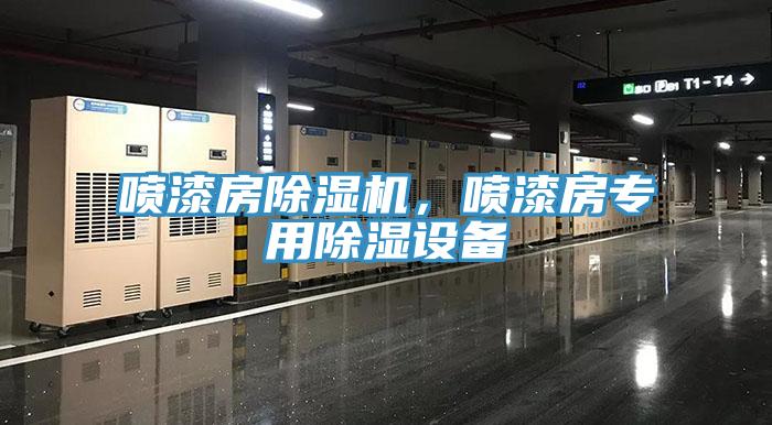 噴漆房除濕機(jī)，噴漆房專用除濕設(shè)備