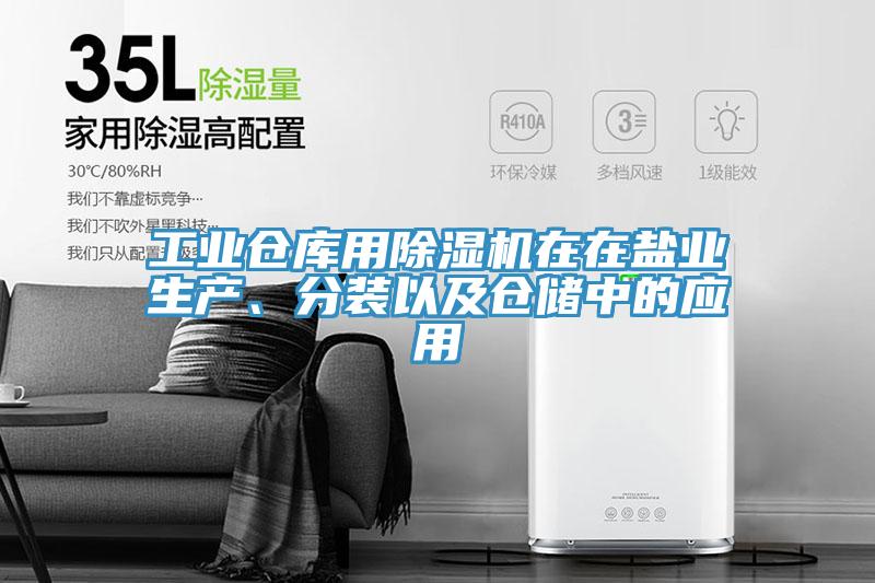 工業(yè)倉庫用除濕機在在鹽業(yè)生產(chǎn)、分裝以及倉儲中的應(yīng)用