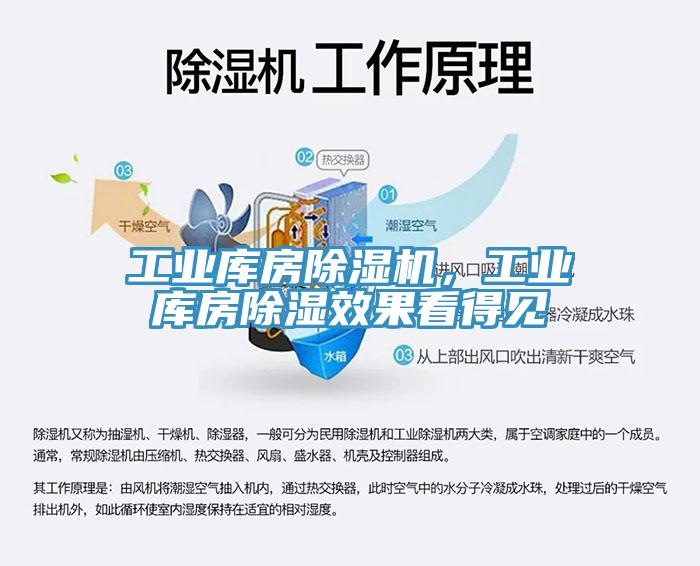 工業(yè)庫房除濕機，工業(yè)庫房除濕效果看得見