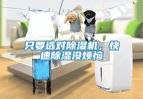 只要選對除濕機(jī)，快速除濕沒煩惱