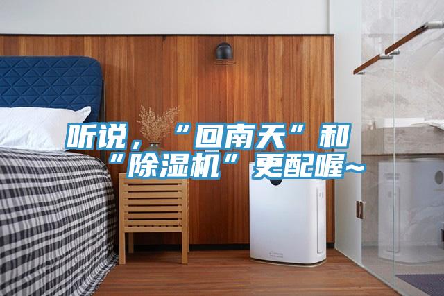 聽說，“回南天”和“除濕機”更配喔~