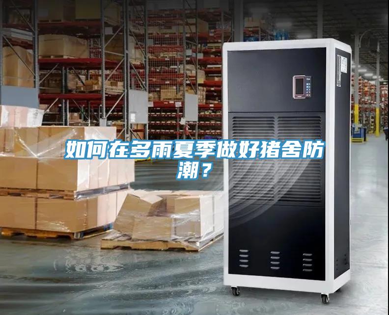 如何在多雨夏季做好豬舍防潮？