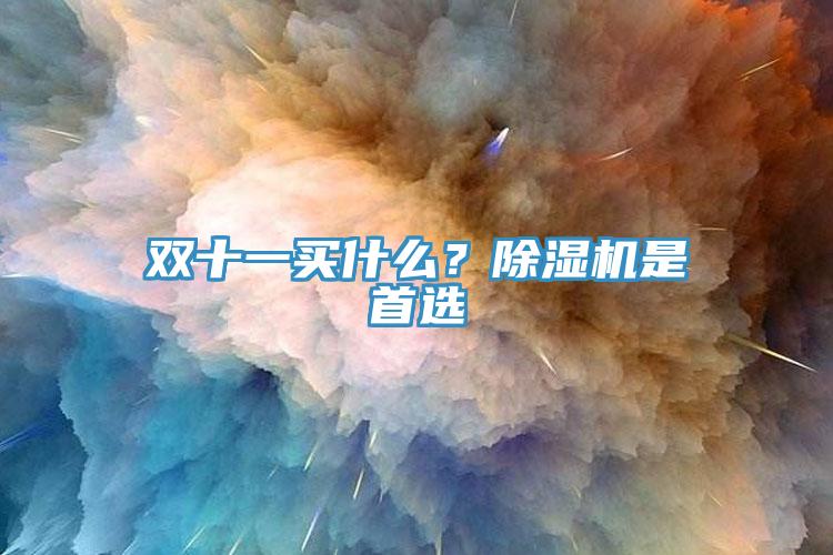 雙十一買(mǎi)什么？除濕機(jī)是首選